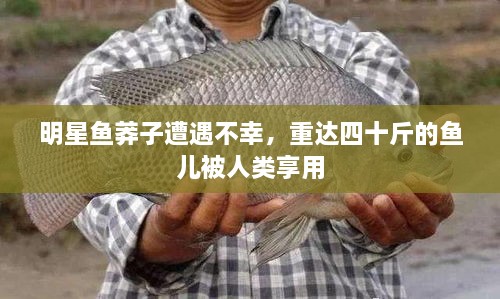 明星魚莽子遭遇不幸，重達四十斤的魚兒被人類享用