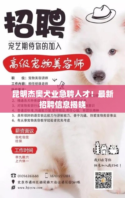 昆明杰奧犬業(yè)急聘人才！最新招聘信息揭曉