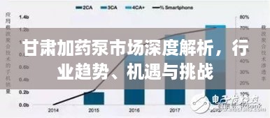 甘肅加藥泵市場深度解析，行業(yè)趨勢、機遇與挑戰(zhàn)