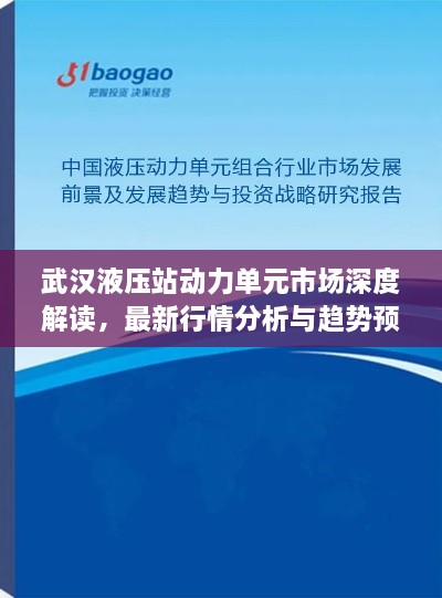 武漢液壓站動力單元市場深度解讀，最新行情分析與趨勢預(yù)測