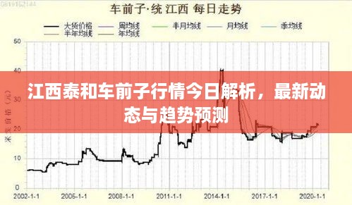 江西泰和車前子行情今日解析，最新動態(tài)與趨勢預(yù)測