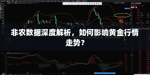 非農(nóng)數(shù)據(jù)深度解析，如何影響黃金行情走勢？