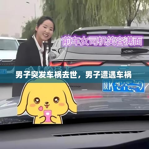 男子突發(fā)車禍去世，男子遭遇車禍 