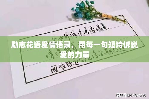 勵志花語愛情語錄，用每一句短詩訴說愛的力量