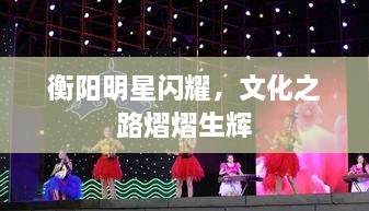 衡陽(yáng)明星閃耀，文化之路熠熠生輝