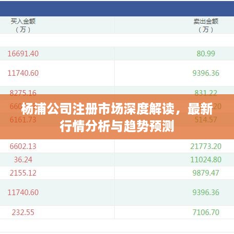 楊浦公司注冊市場深度解讀，最新行情分析與趨勢預(yù)測