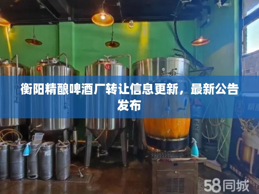 衡陽精釀啤酒廠轉讓信息更新，最新公告發(fā)布