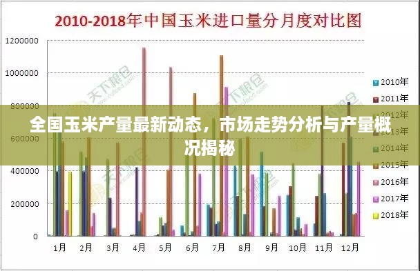 全國玉米產量最新動態(tài)，市場走勢分析與產量概況揭秘