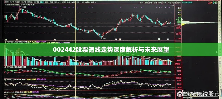 002442股票短線走勢深度解析與未來展望