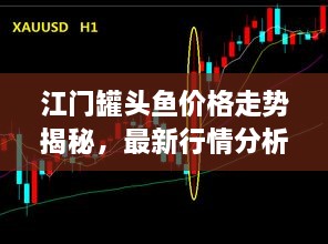 江門罐頭魚價格走勢揭秘，最新行情分析