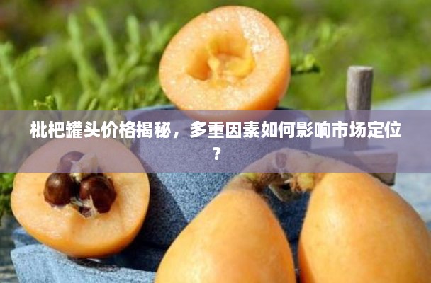 枇杷罐頭價(jià)格揭秘，多重因素如何影響市場定位？