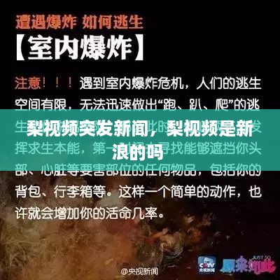 梨視頻突發(fā)新聞，梨視頻是新浪的嗎 