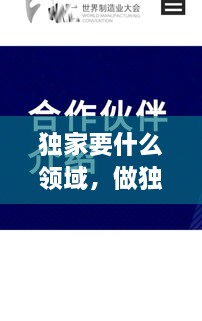 獨家要什么領(lǐng)域，做獨家代理有什么要求 