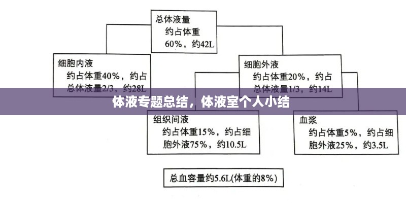 體液專(zhuān)題總結(jié)，體液室個(gè)人小結(jié) 